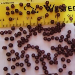 Vintage French Seed Beads - Set#1